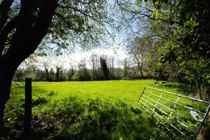 Photo 37- click for photo gallery